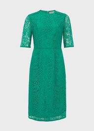 Penny Lace Shift Dress, Meadow Green, hi-res