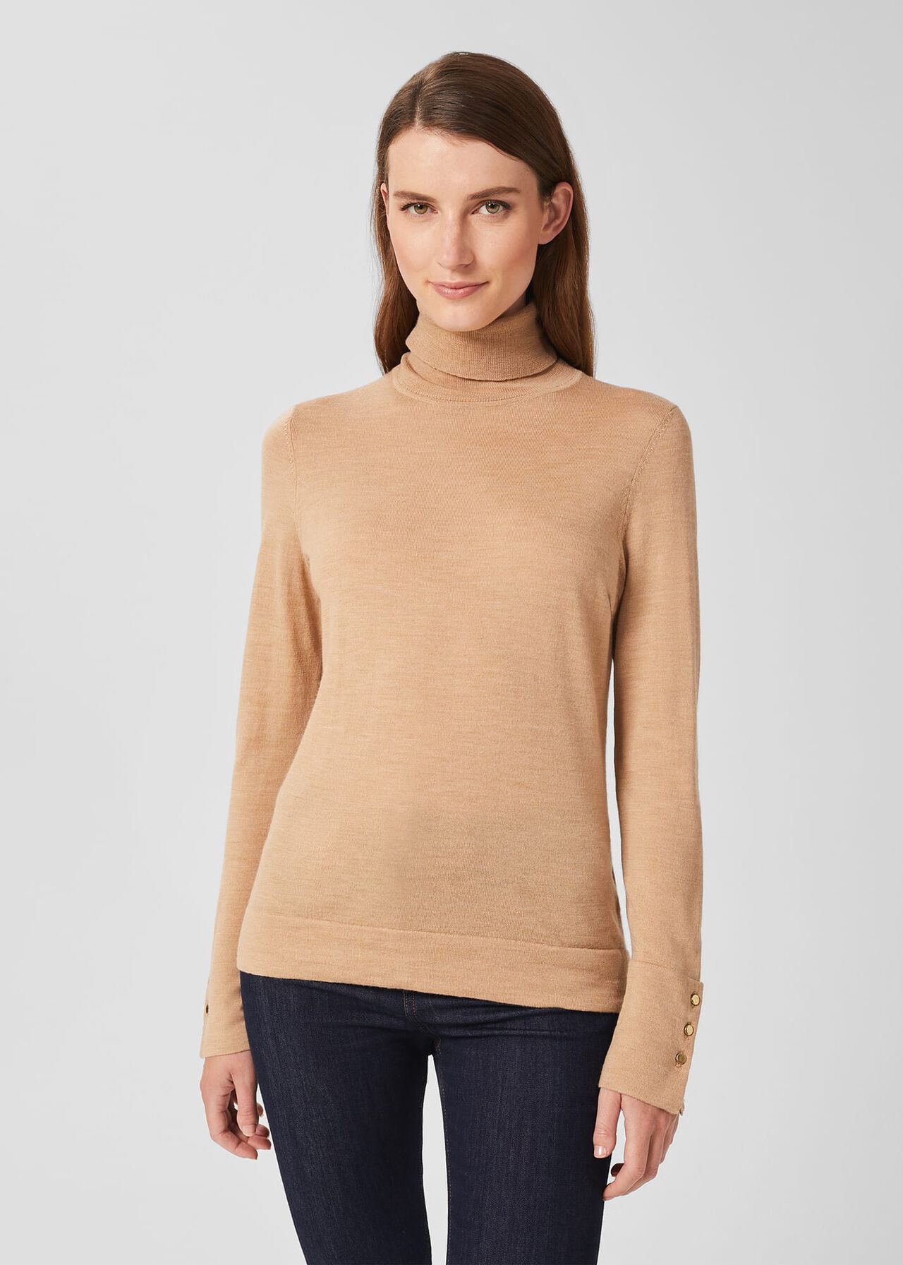 Lara Merino Wool Roll Neck Jumper Hobbs