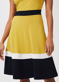 Seasalter Jersey Fit And Flare Dress, Yellow Nvy Whte, hi-res