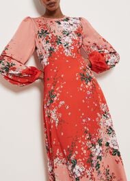 Denman Dress, Red Rose Multi, hi-res