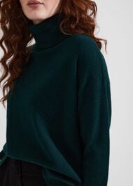 Delora Cashmere Roll Neck Sweater, Hawthorn Green, hi-res