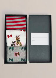 Festive Dog Sock Set, Red Multi, hi-res