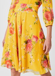 Jasmina Floral Fit And Flare Dress, Yellow Multi, hi-res