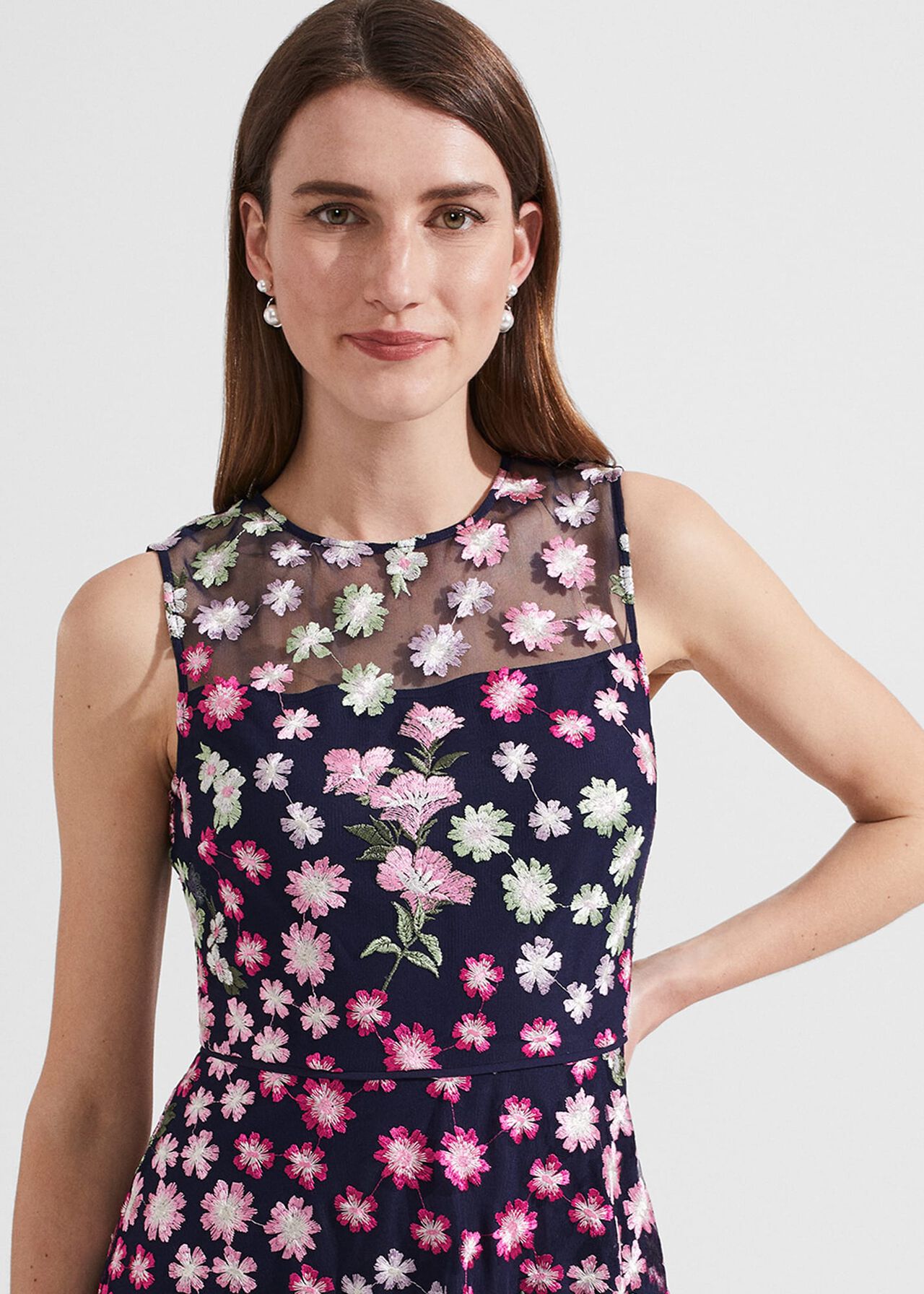 Petite Ira Embroidered Dress | Hobbs US