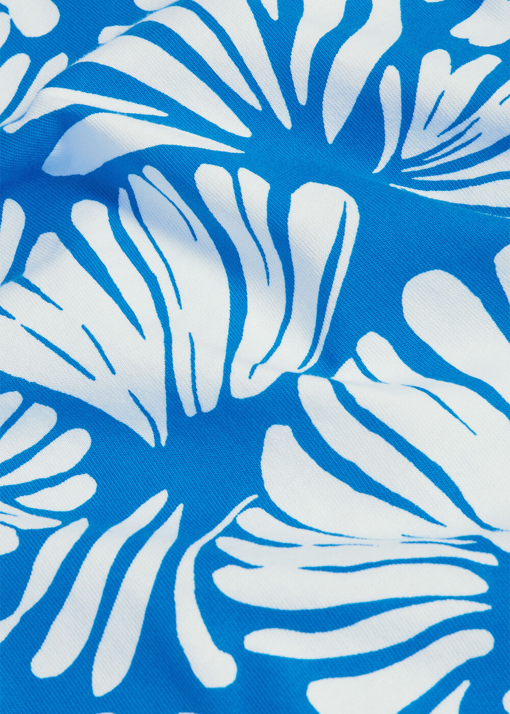 Fern Cotton Button Back Printed Top, Blue White, hi-res