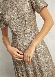 Shirley Sequin Trimmed Maxi Dress, Champagne, hi-res