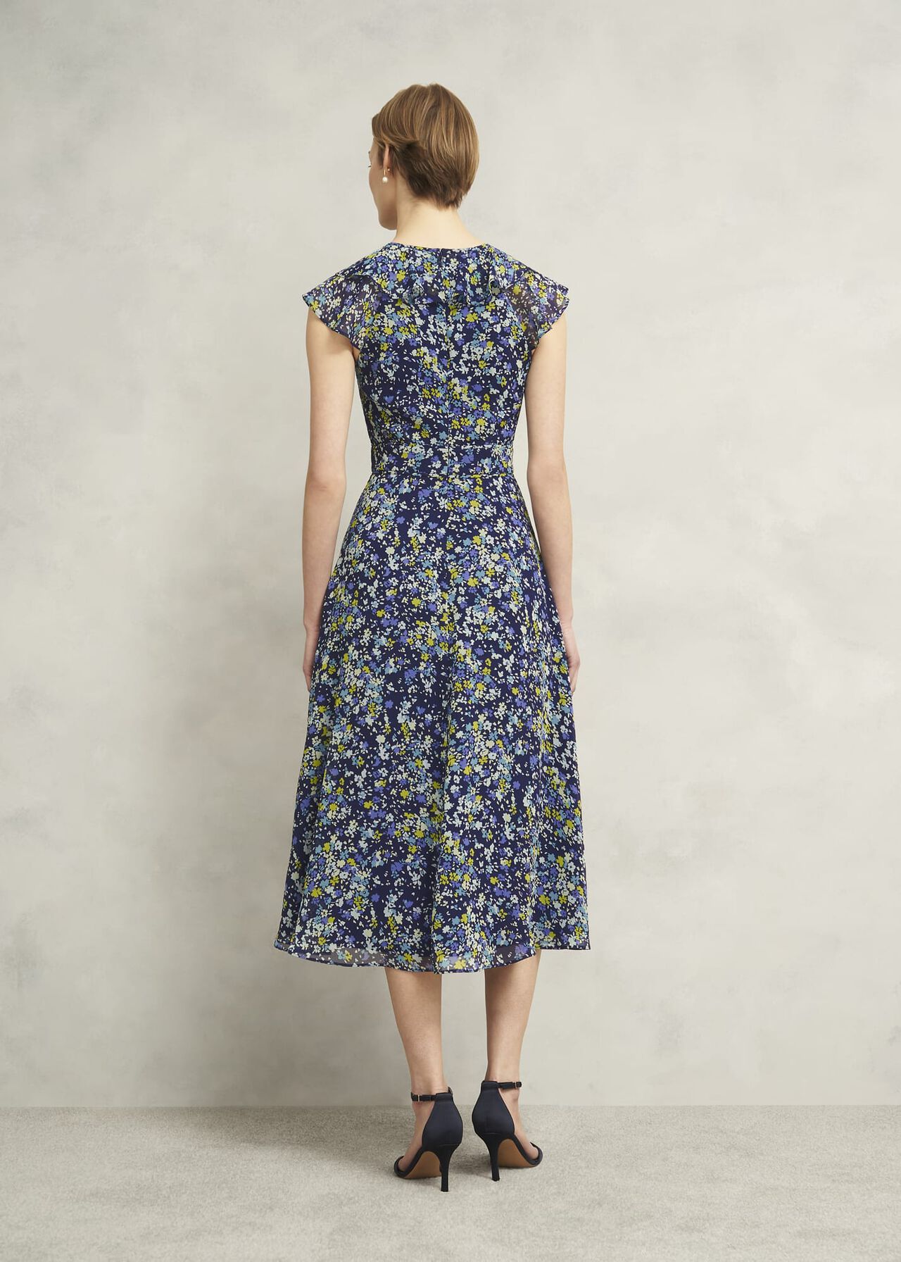 Hobbs Dawn Frill Collar Dress