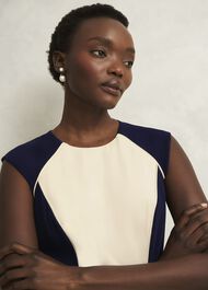 Petite Andrea Colourblock Dress, Navy Cream, hi-res