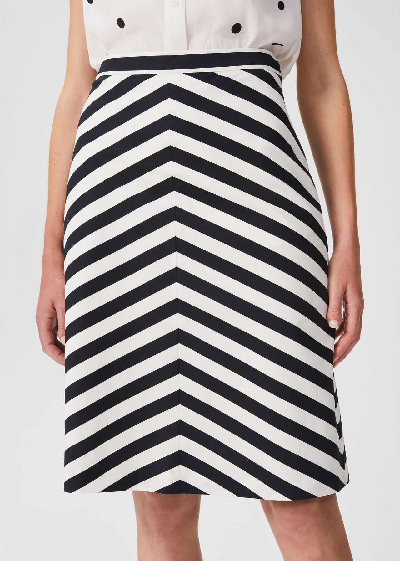 Talisa Cotton Stripe A Line Skirt, Navy White, hi-res
