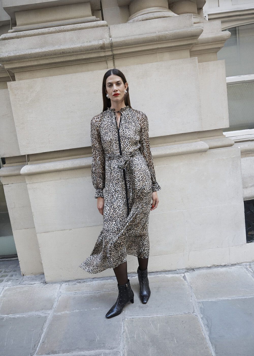Aves Dress, Brown Multi, hi-res