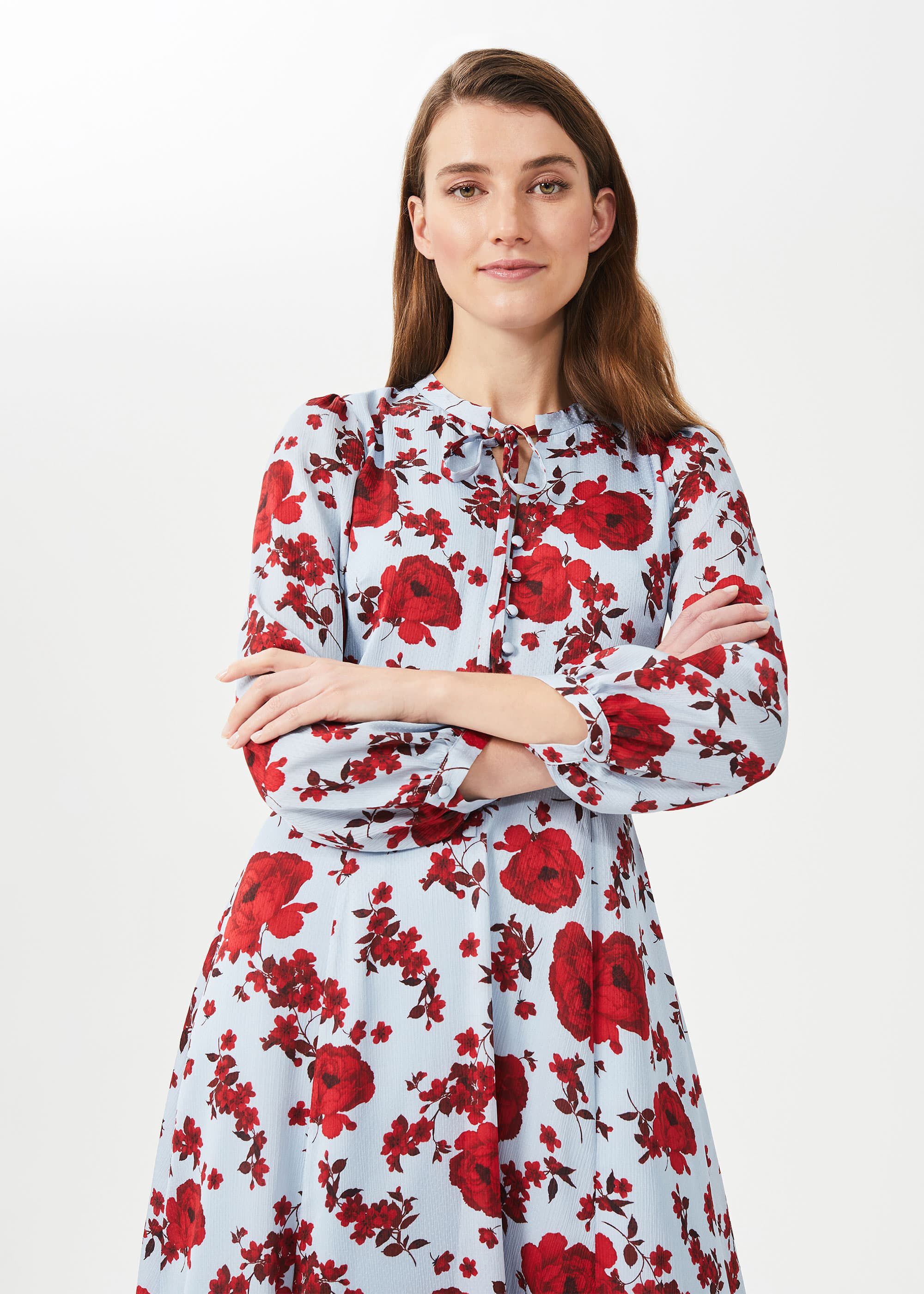 Hobbs shop polly dress