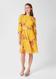 Jasmina Floral Fit And Flare Dress, Yellow Multi, hi-res