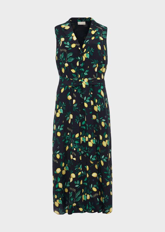 Carina Printed Midi Dress