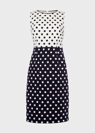 Fiona Spot Shift Dress, Navy Ivory, hi-res