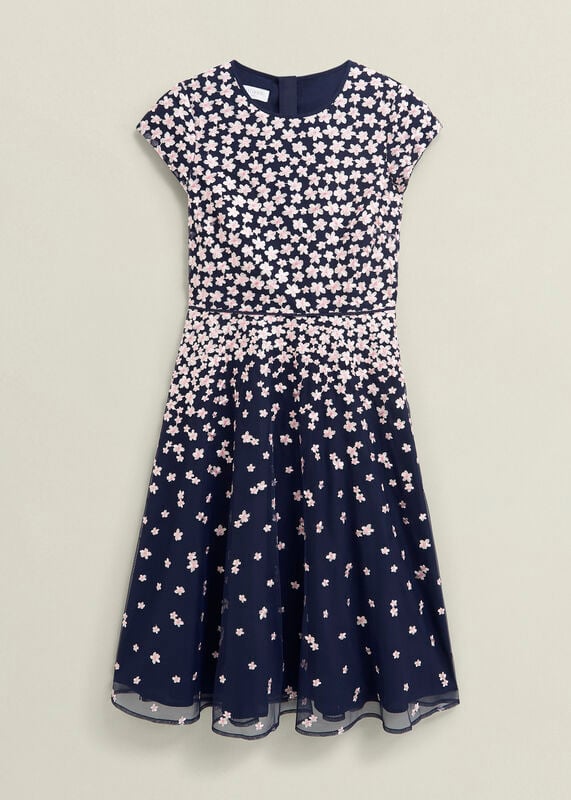 Betty Embroidered Dress 