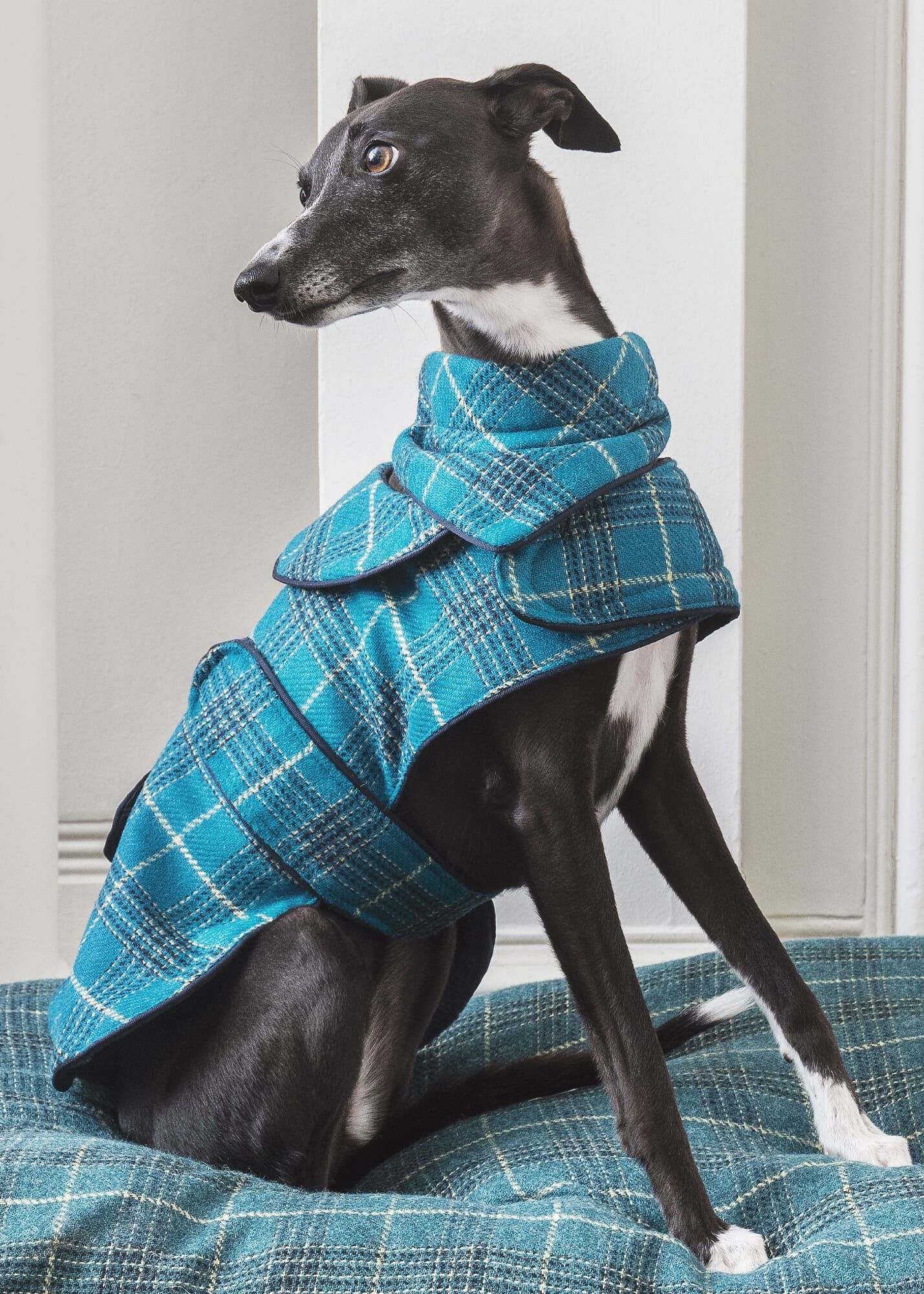 Xlarge dog coat top