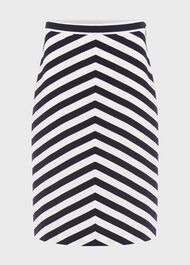 Talisa Cotton Stripe A Line Skirt, Navy White, hi-res