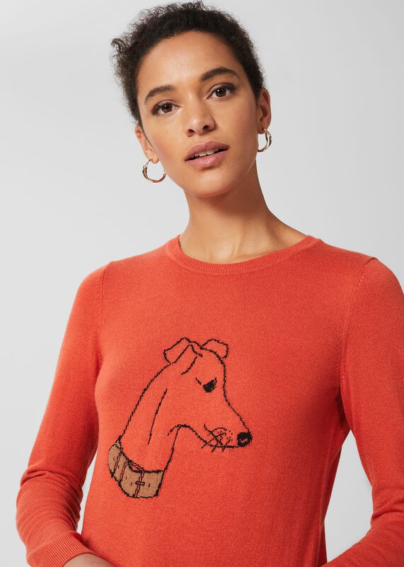 Juliette Whippet Jumper with Cashmere