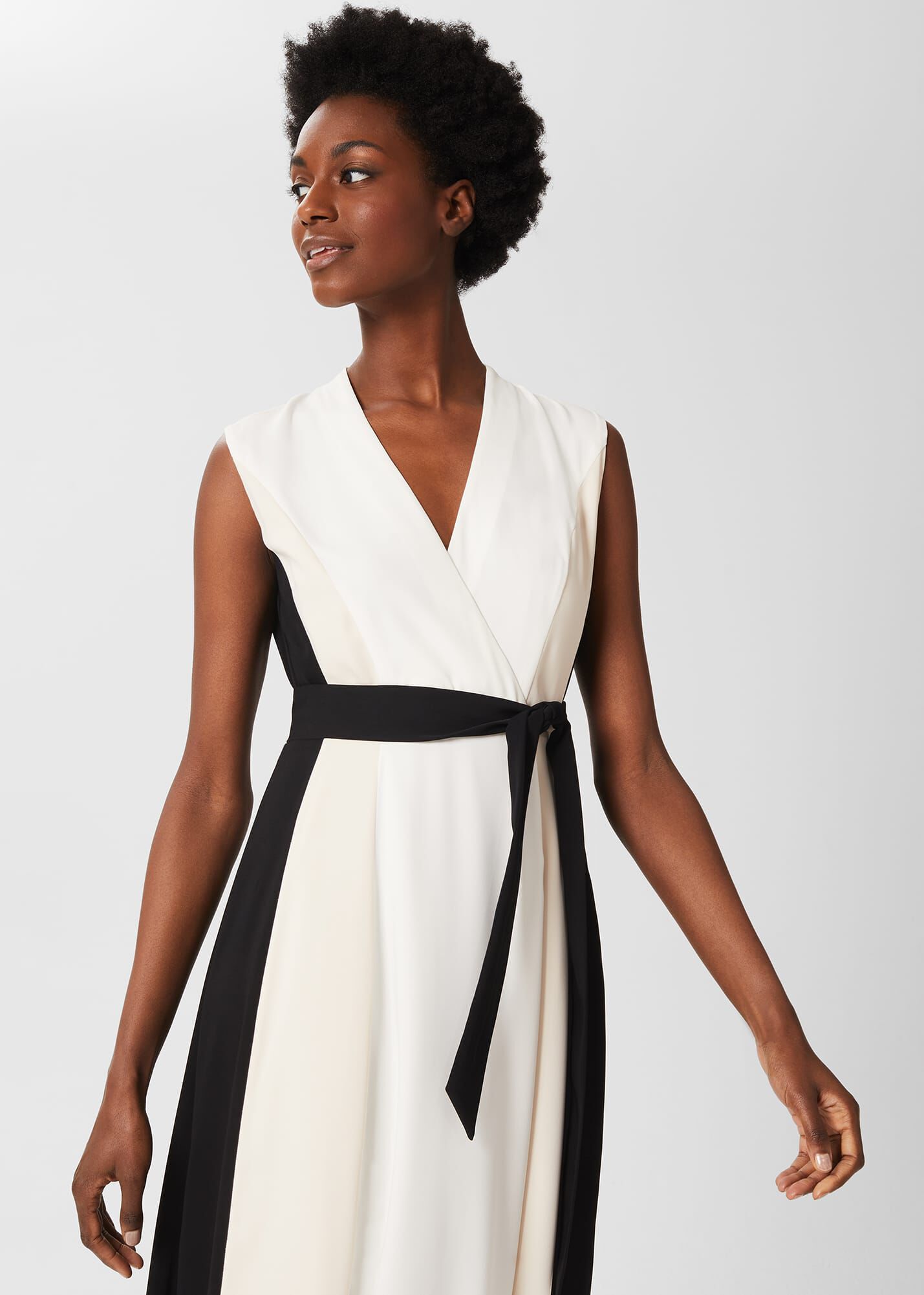 Hobbs best sale natalia dress