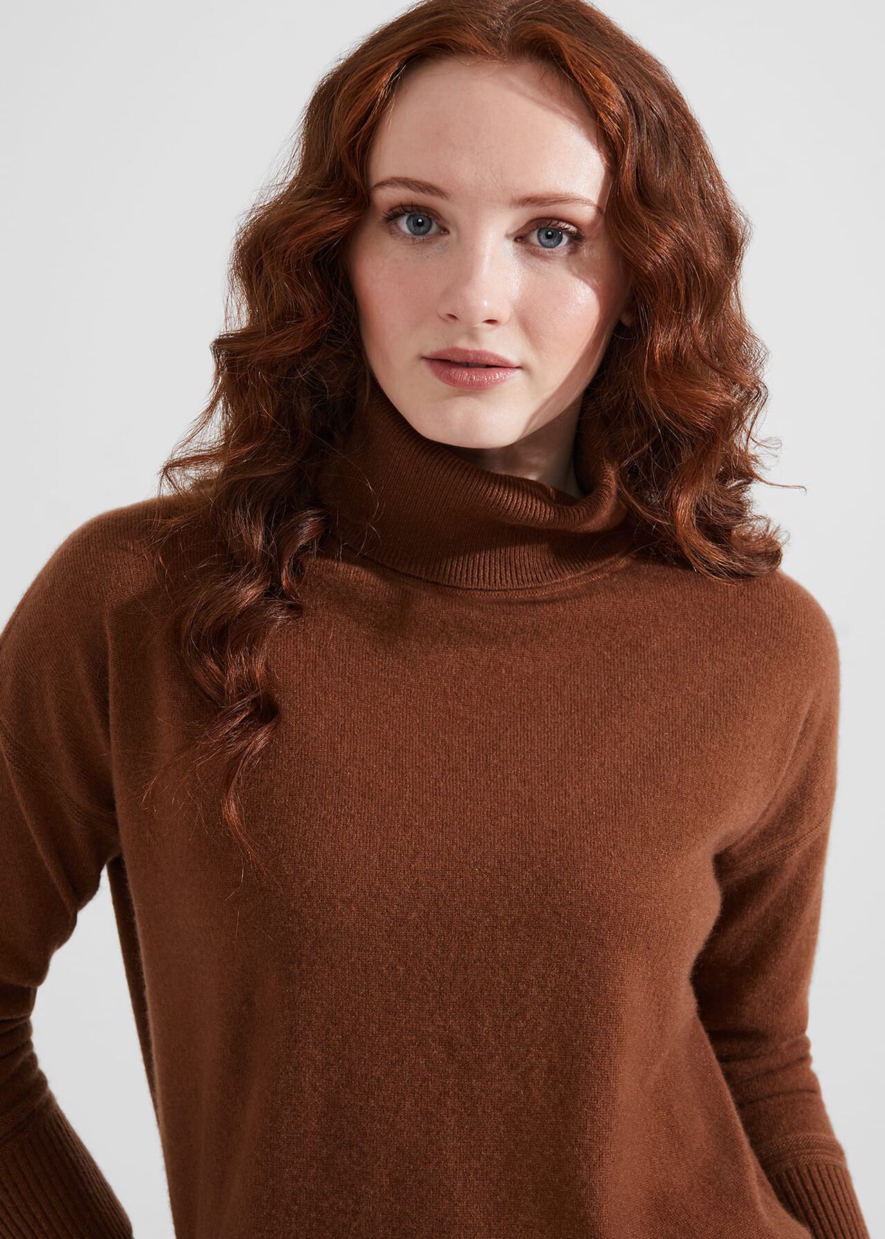 Delora Cashmere Roll Neck Jumper, Hobbs Vicuna, hi-res