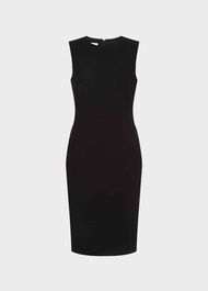 Petite Alva Dress, Black, hi-res
