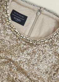 Shirley Sequin Trimmed Maxi Dress, Champagne, hi-res