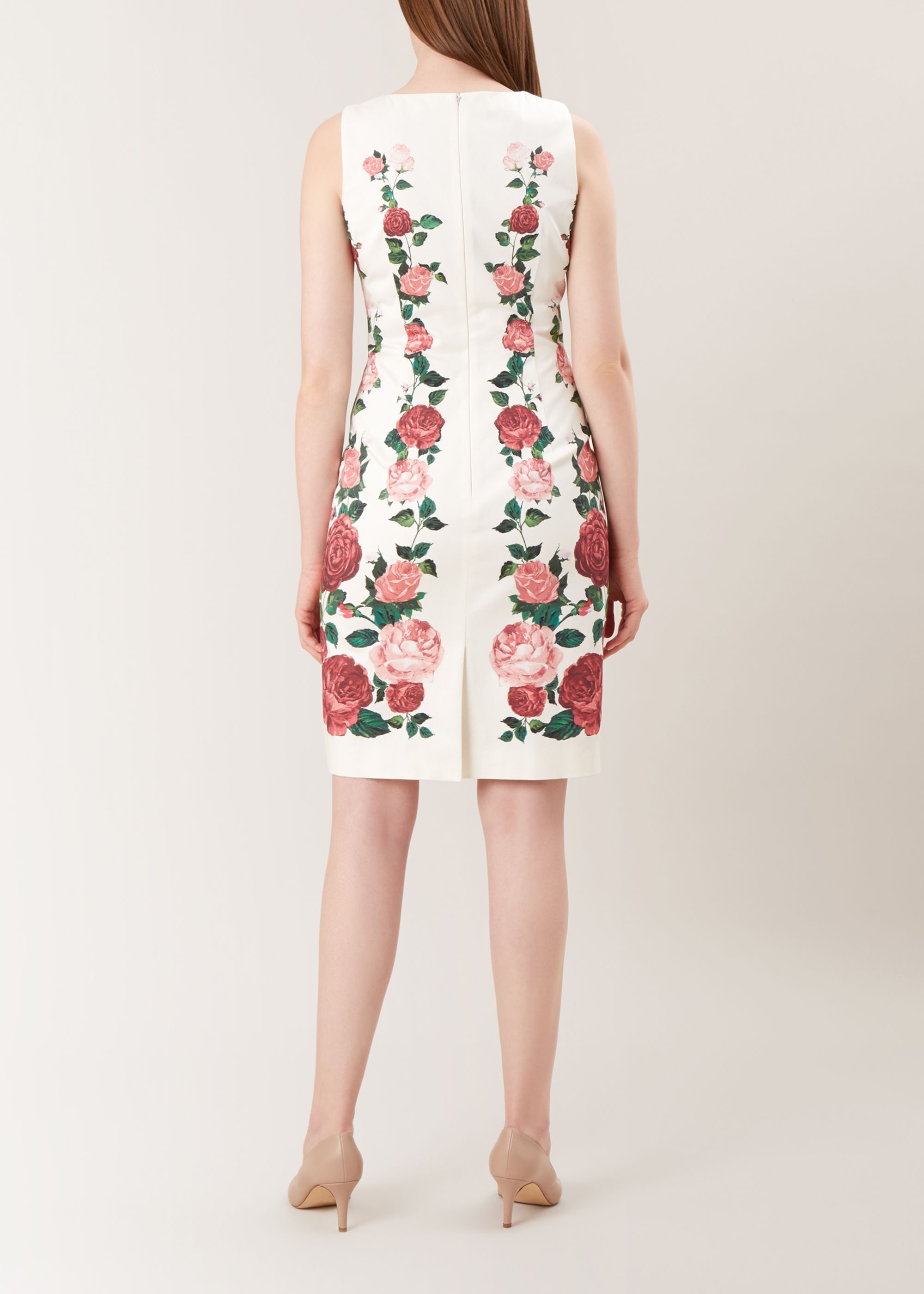 hobbs victoria rose dress