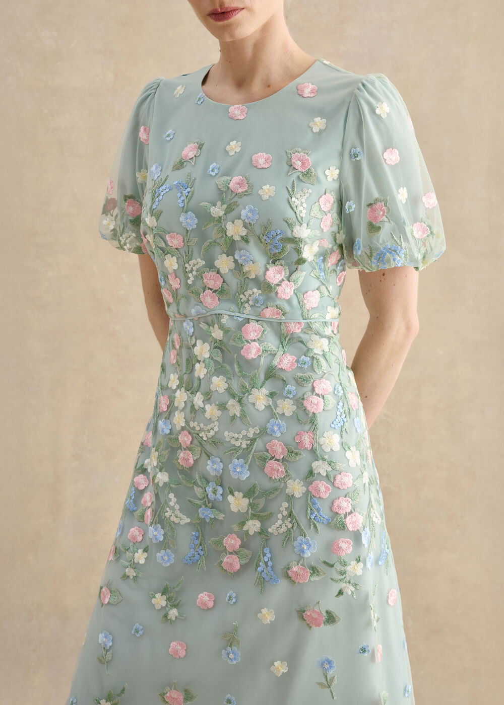 Petite Audra Embroidered Dress | Hobbs US |
