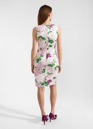 Fiona Floral Dress, Ivory Multi, hi-res
