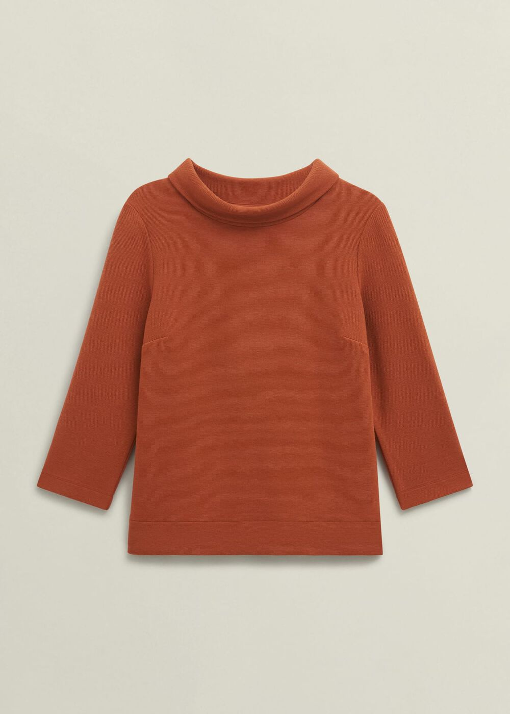 Orange Betsy Textured 3/4 Sleeve Roll Neck Top, Sienna Orange, hi-res