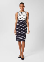 Fiona Spot Shift Dress, Navy Ivory, hi-res