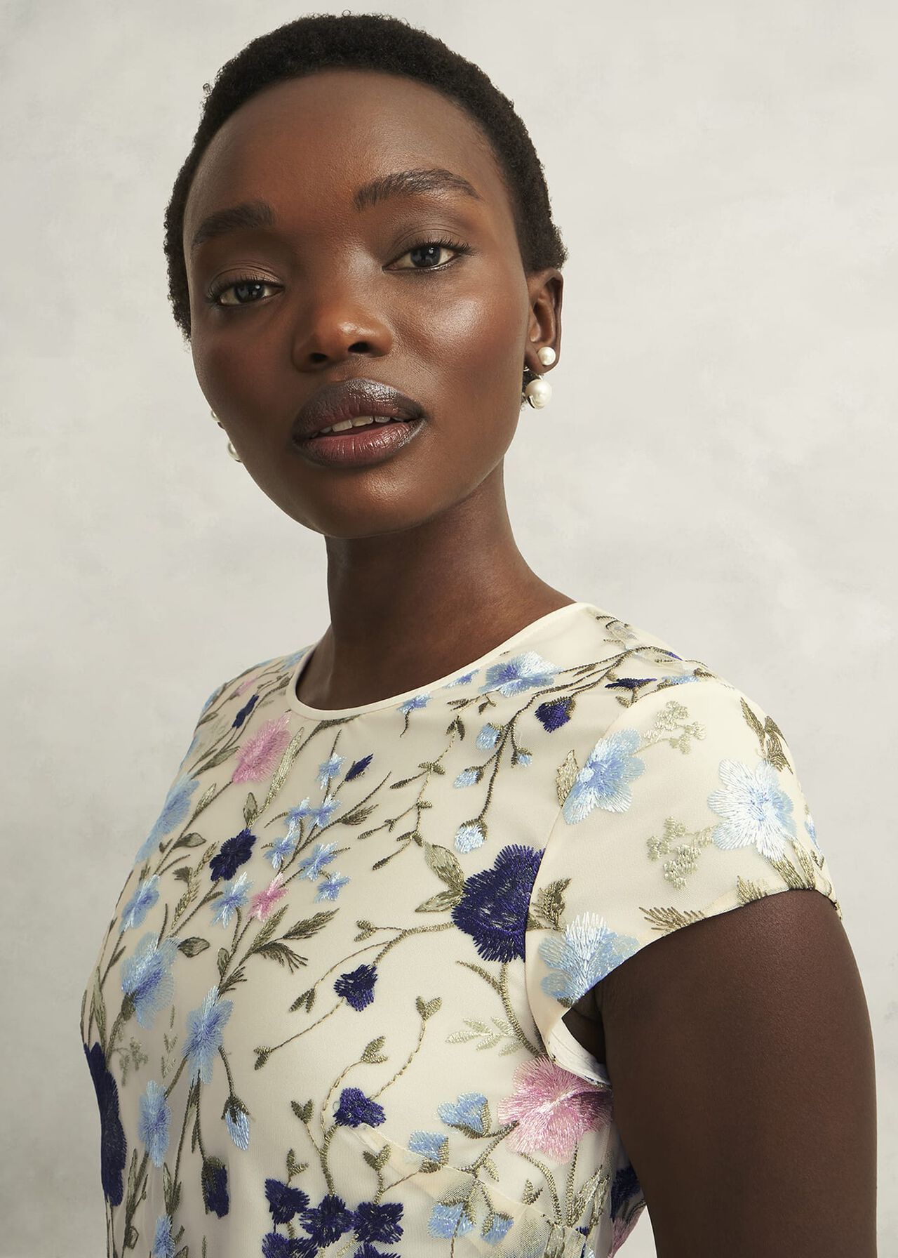 Petite Tia Embroidered Dress, Cream Multi, hi-res