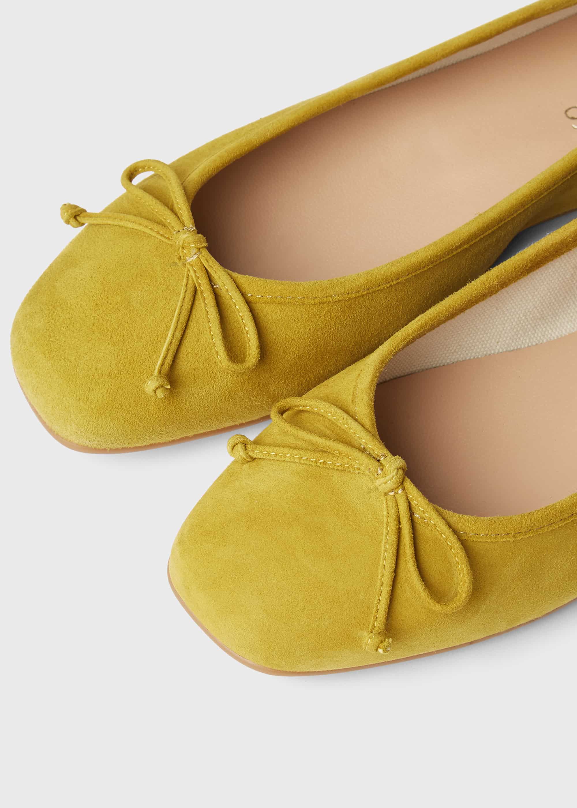 Prior Suede Ballerinas