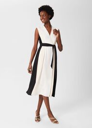 Natalie Fit And Flare Dress, Ivory Multi, hi-res