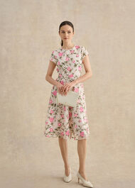 Petite Tia Embroidered Dress, Cream Pink, hi-res