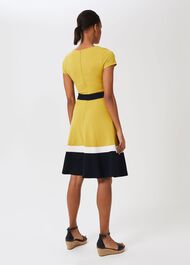 Seasalter Jersey Fit And Flare Dress, Yellow Nvy Whte, hi-res