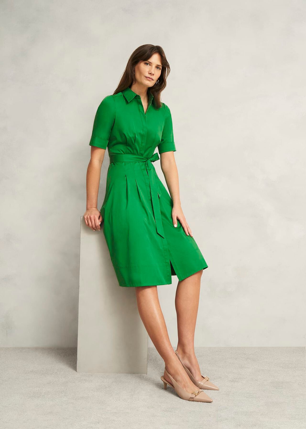 Hobbs Brigitta Dress