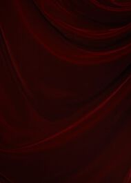 Faye Velvet A Line Dress, Deep Red, hi-res