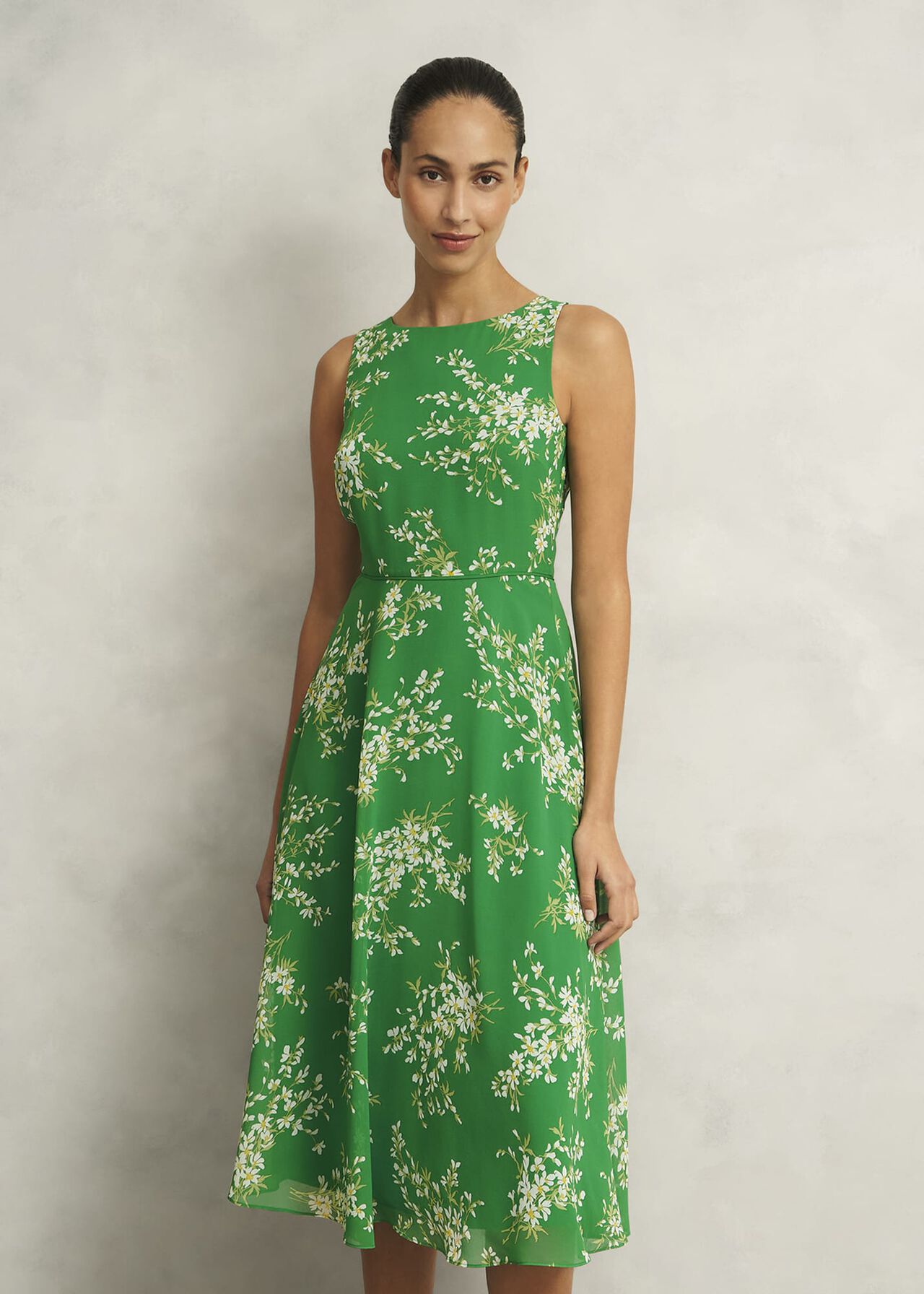 Petite Carly Dress, Green Ivory, hi-res