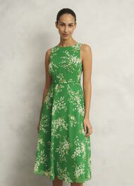Petite Carly Dress, Green Ivory, hi-res