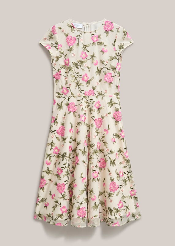 Petite Tia Embroidered Dress