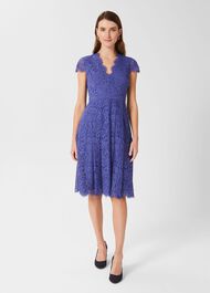 Anastasia Lace Fit And Flare Dress, Blue, hi-res
