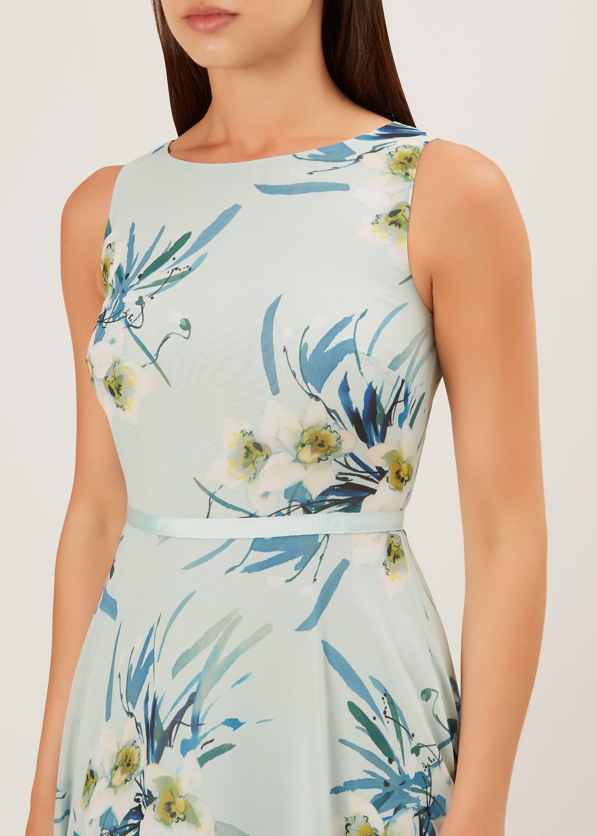 hobbs blue carly dress