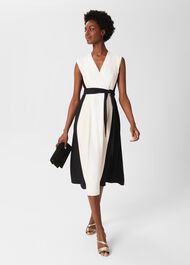 Natalie Fit And Flare Dress, Ivory Multi, hi-res
