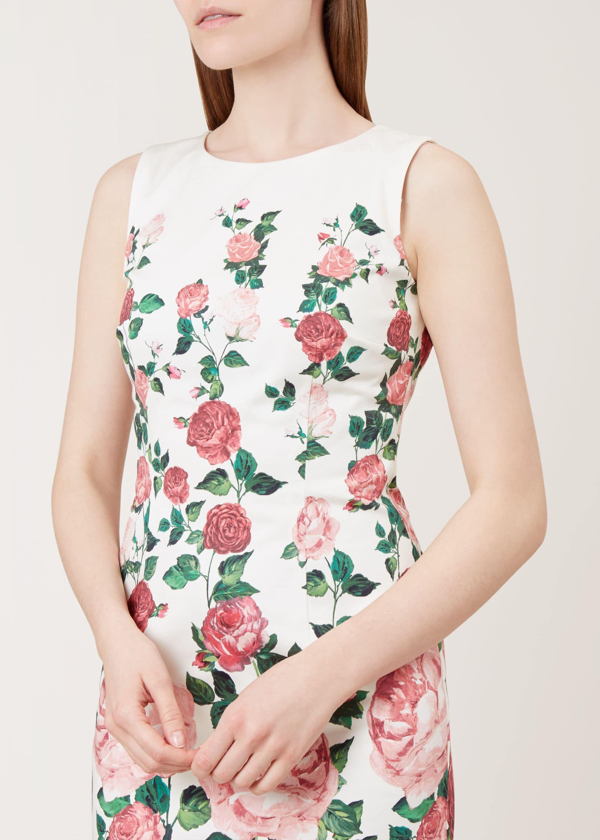 hobbs victoria rose dress