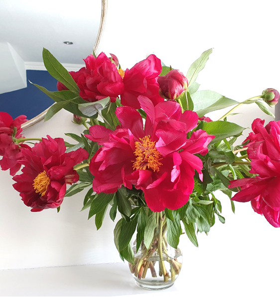 A bright pink vase of peonies