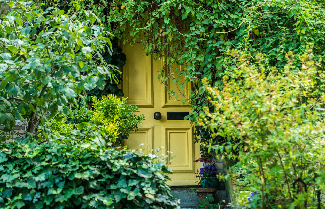 Discover whats behind thi sbright yellow front door and Visit our head of creative brand, rosarie king 