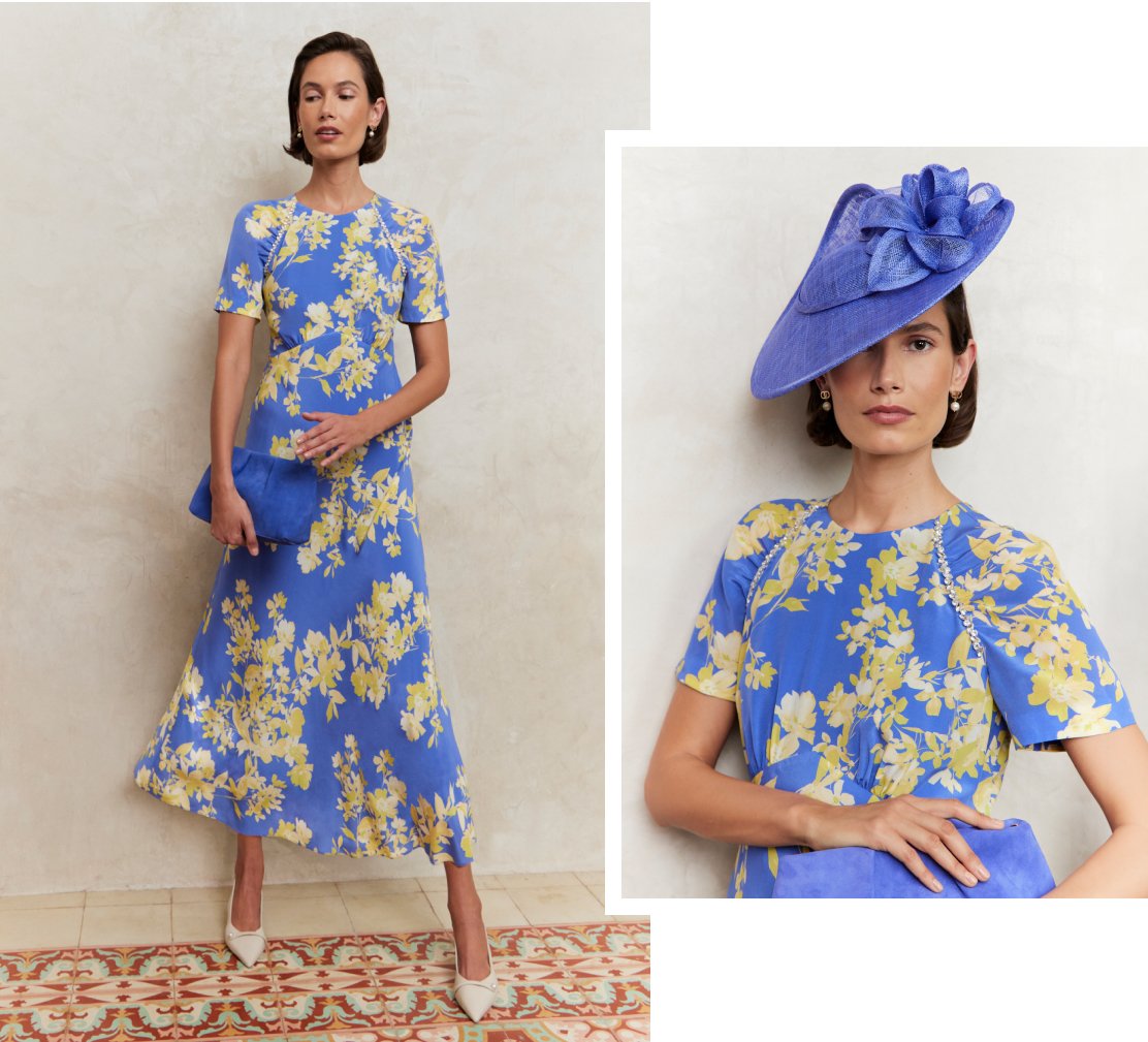 Hobbs Model Wearing A Silk Dress