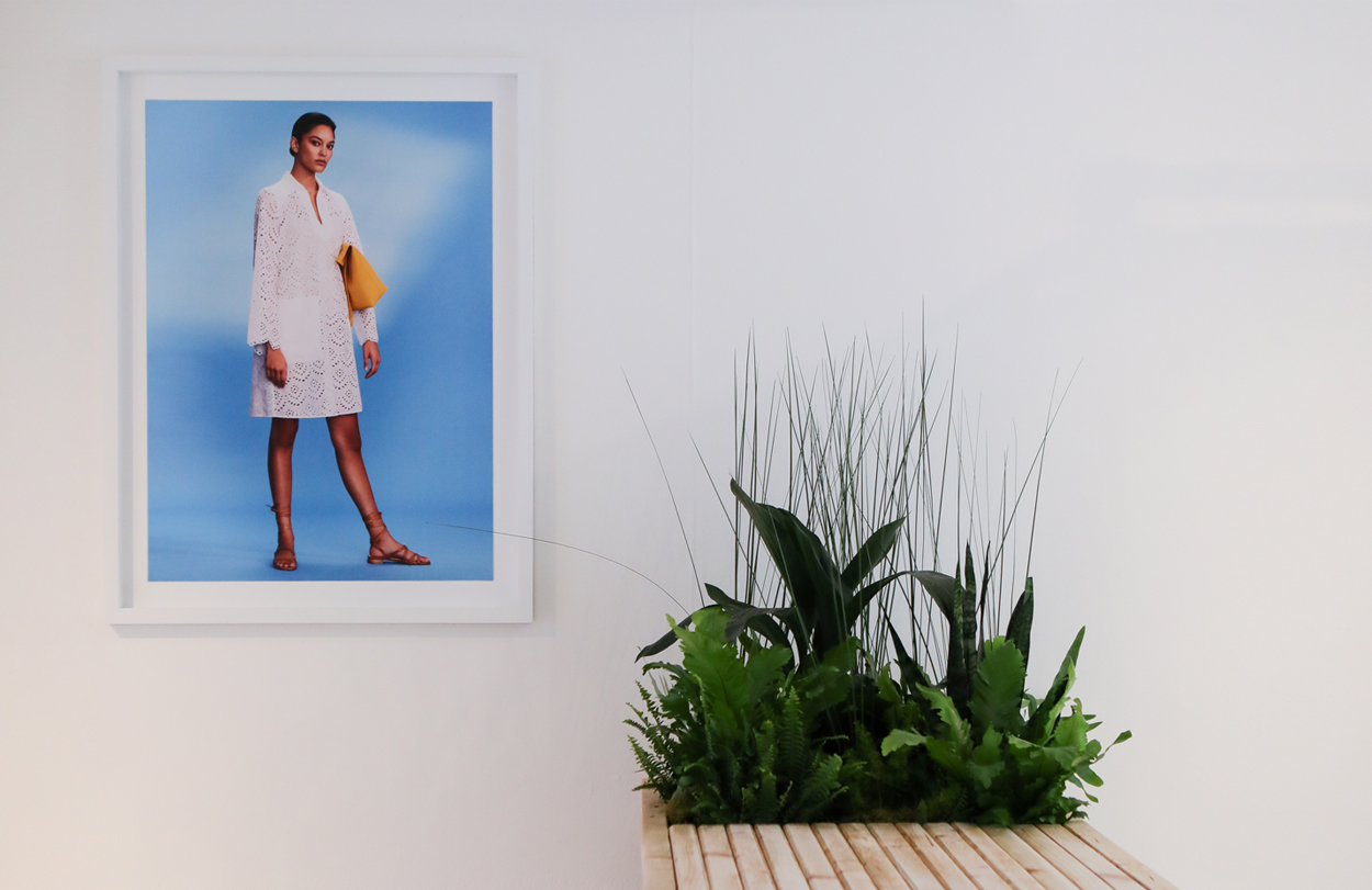 A sophisticated white gallery interior with a bright blue picture next to a bleacher wood planter with lush green plants