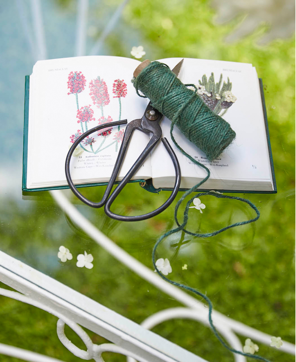 A pair of gardening scissors sits on top of a book of flowers. 